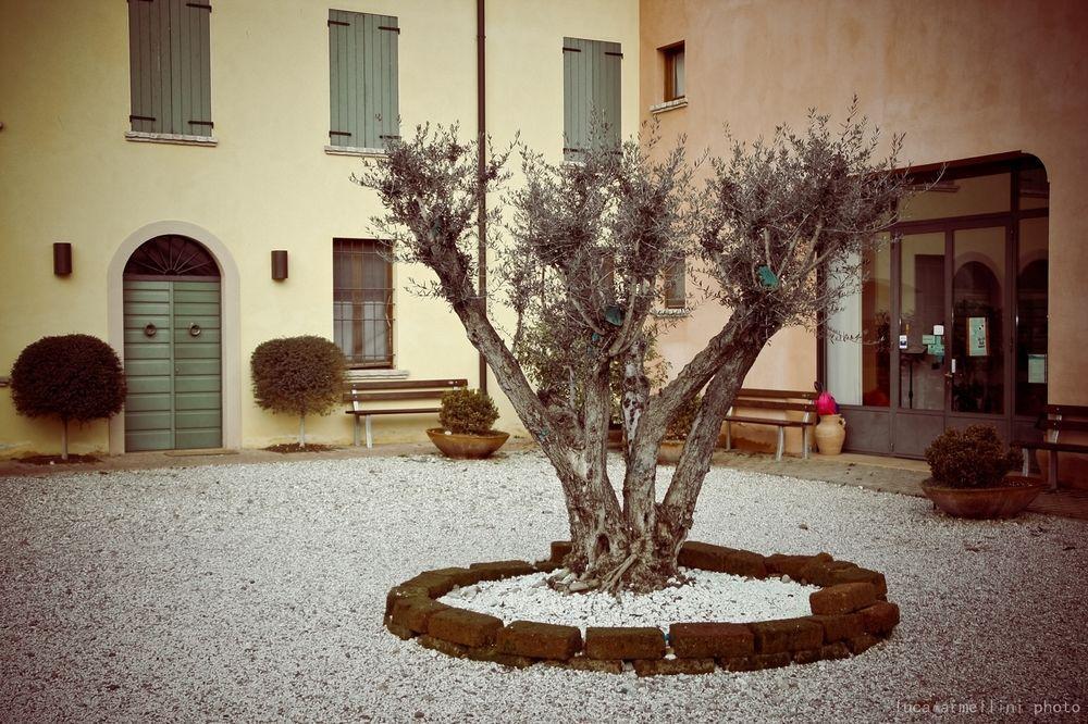 Agriturismo Cascina Boschi Lejlighed Volta Mantovana Eksteriør billede